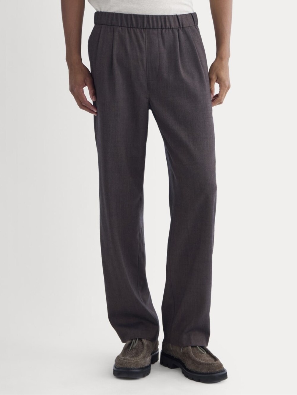NWOT Everlane Brown Tailor Twill Pleated Wool Trouser Dress Pants - Size Medium